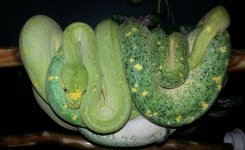 20130629_071923-1.jpg