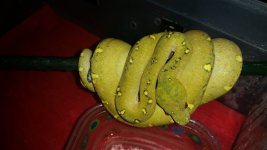 20150429_154606.jpg