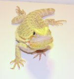 DSC_0292.jpg