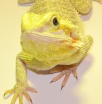 DSC_0294.jpg