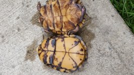 20150414_144251.jpg