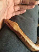 ImageUploadedByTapatalk1431754189.423998.jpg