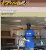 Untitled-1 copy.jpg