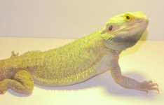 DSC_0303.jpg