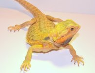 DSC_0313.jpg