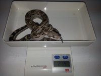20150130_190836.jpg