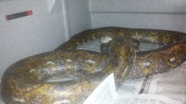 20131120_184221.jpg