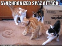 spaz.JPG