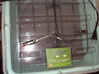 DSC00743.jpg