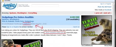 mikeMastonReptiles30-2.jpg