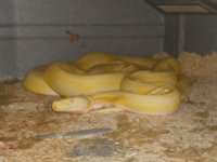 DSCN0079.jpg