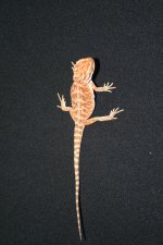 IMG_1469.jpg
