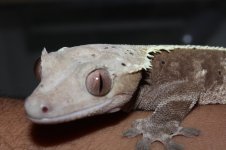 IMG_6731.jpg