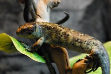 DSC_0928.jpg
