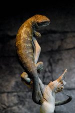 DSC_0923.jpg