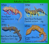 Male sale 2 copy.jpg