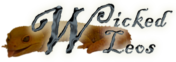 wickedleos_logo.png