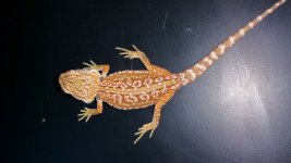 20150609_101934.jpg