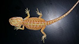 20150609_101956.jpg