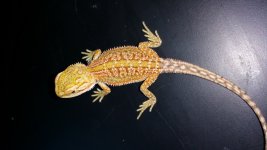 20150609_101918.jpg