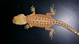 20150609_101944.jpg