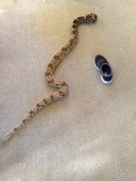 IMG_1564.jpg