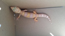 20150116_122515.jpg