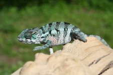 IMG_0011.jpg