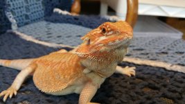 20150304_131615.jpg