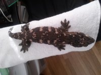 CAM00453.jpg CAM00453.jpg