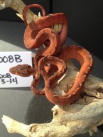 8B.jpg
