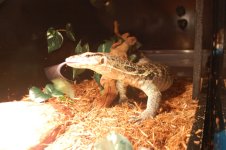 DSC_1120.jpg