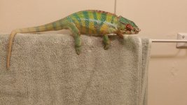 20150225_181121.jpg