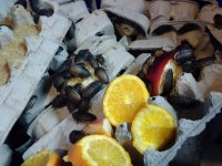 dubsmixedfruit2.jpg