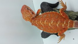 20150314_172633.jpg