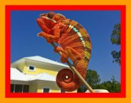carosni 4222.jpg
