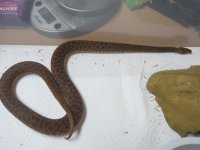 IMG_0754.jpg