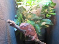 IMG_0151.jpg