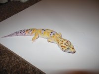 DSCN1417.jpg