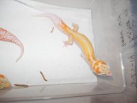 DSCN1419.jpg