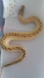 20150202_090932.jpg