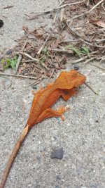 20150517_104910.jpg