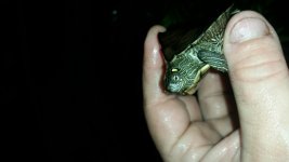 20150218_092654.jpg