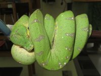 GTP III.jpg