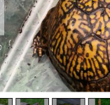 Screenshot_2015-04-18-17-51-20-1.png