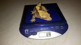 20150331_220839.jpg