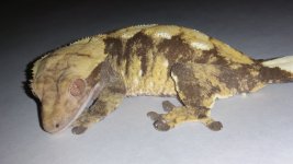 20150331_221325.jpg