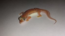 20150331_223909.jpg