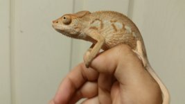 20150528_063941.jpg