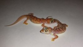 20150331_224109.jpg